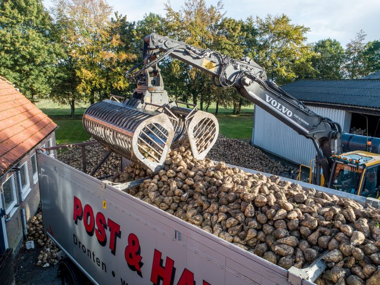 Trailer van Post & Haveman wordt met bieten geladen. De vrachtwagen staat tussen twee schuren in.